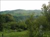 Weilau2k4-08